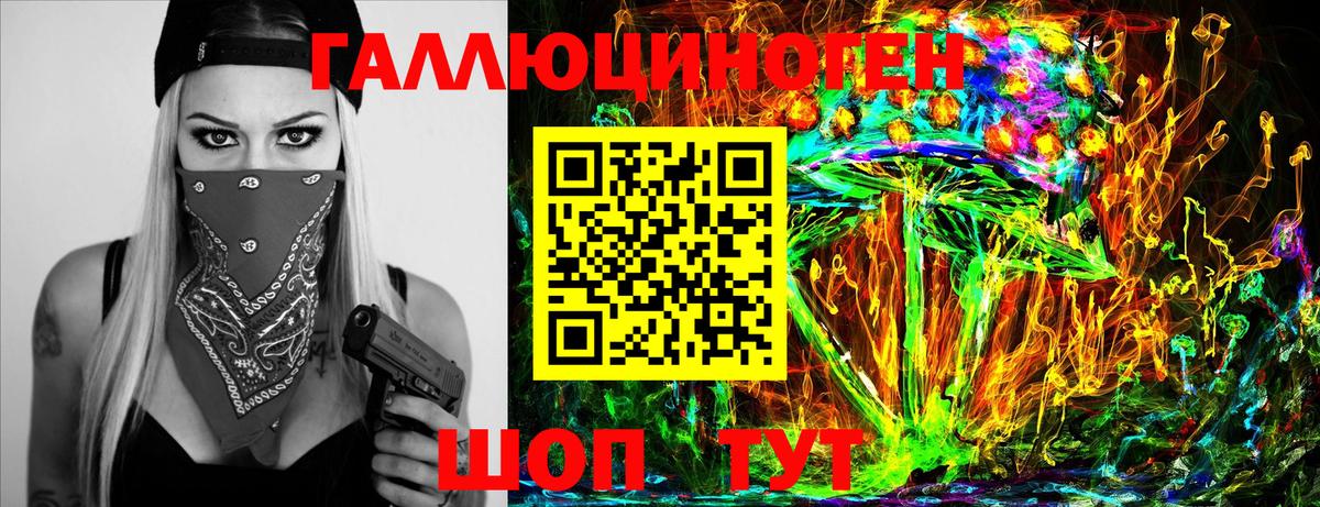 Псилоцибиновые грибы Psilocybe Родники
