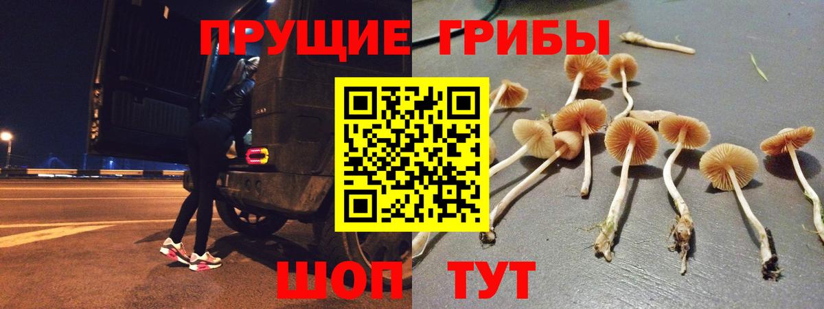 Родники  Псилоцибиновые грибы Psilocybe  Вход с VPN  Галлюциногенные грибы прущие грибы 